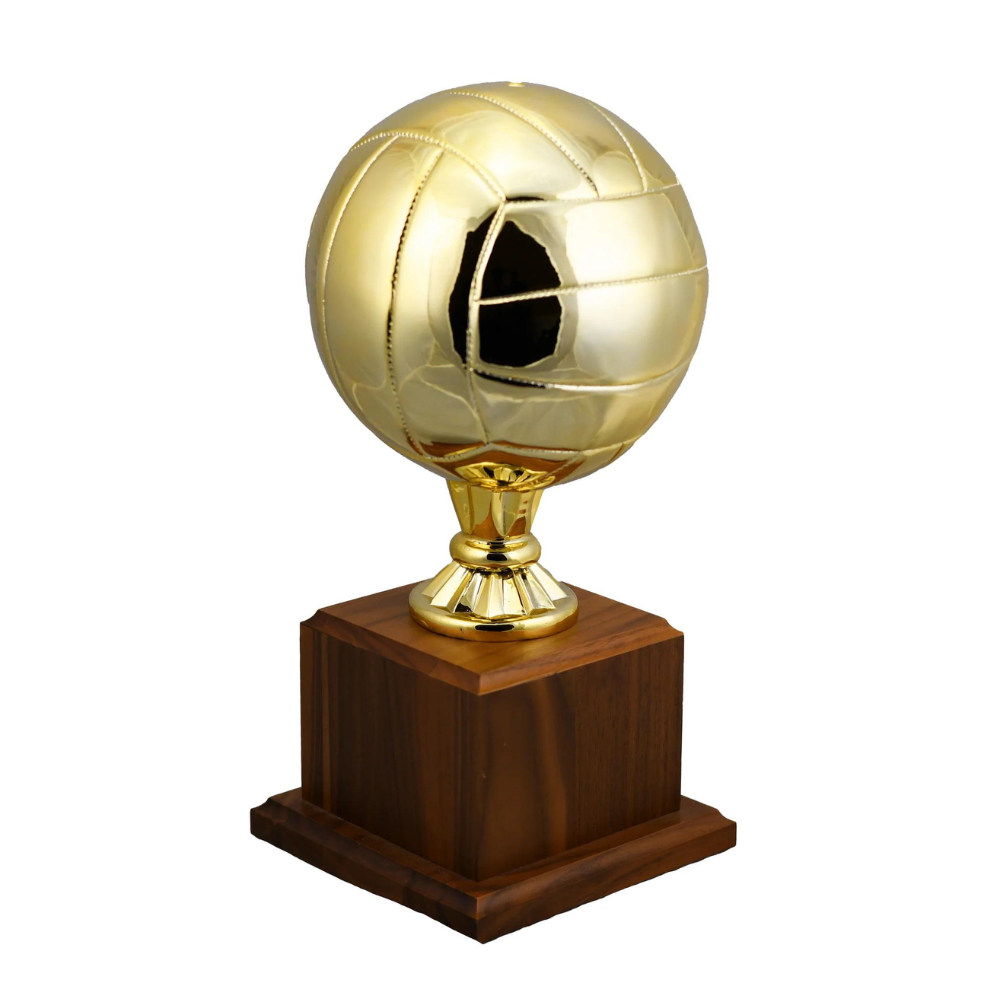 Volleyball Replica Sport Ball Award